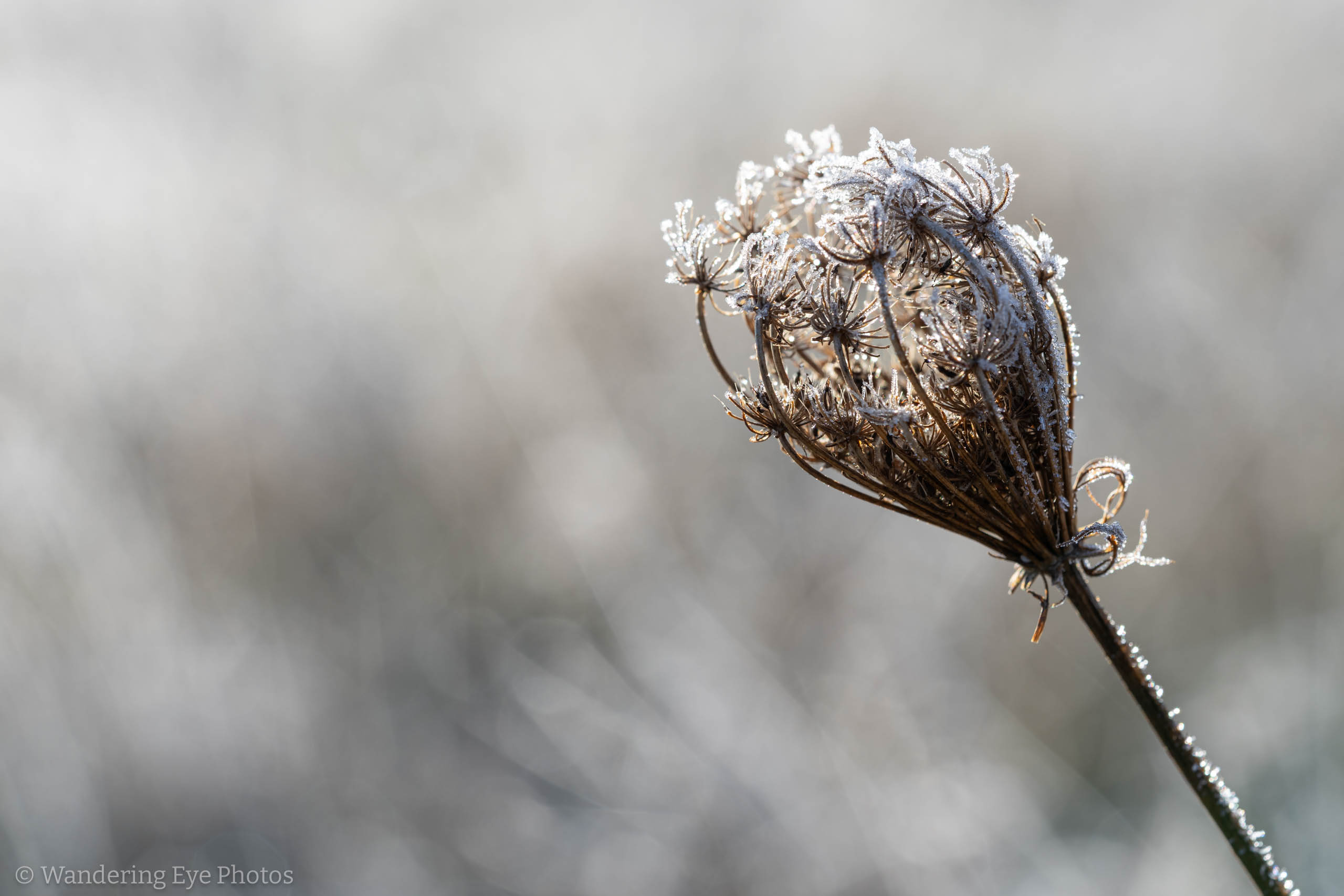 01.10 10.38.25   DSC06897